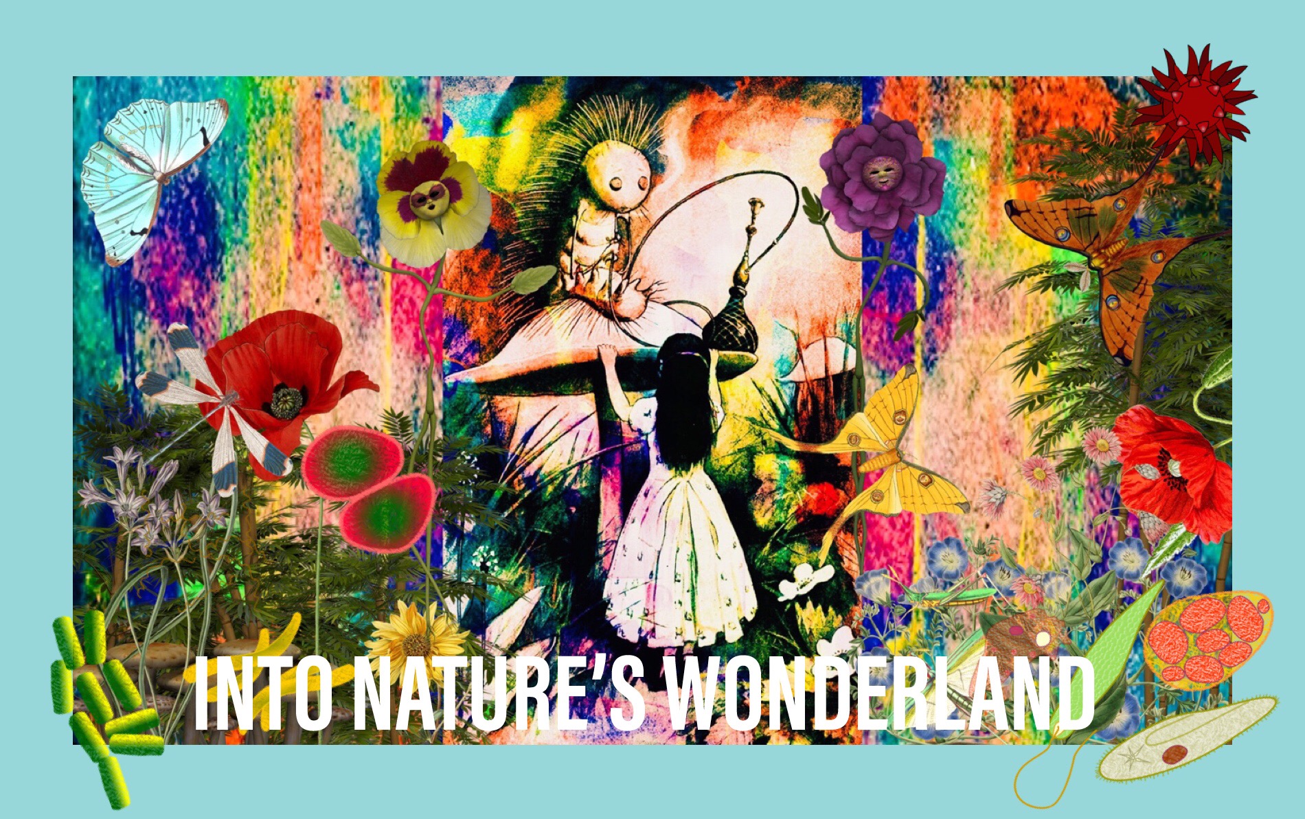 Into nature’s wonderland