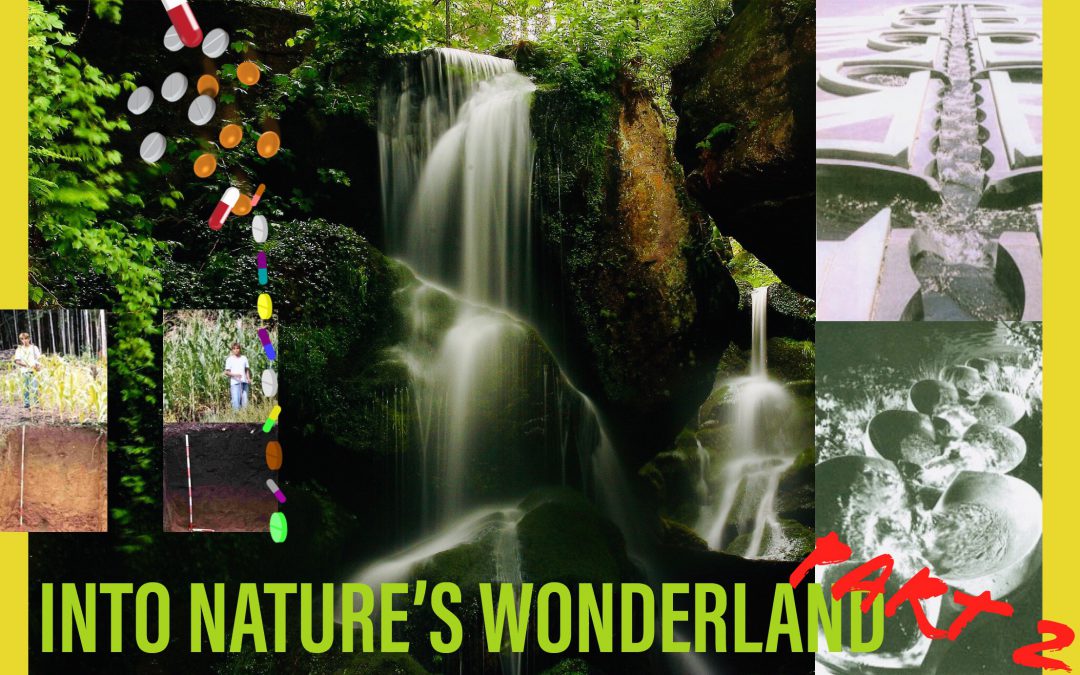 Into nature’s wonderland, deel 2