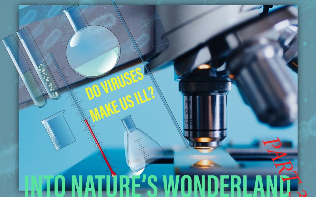 Into nature’s wonderland, deel 3